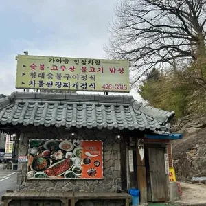 가야금 대표 사진