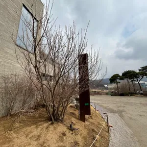 그린플래그커피 리뷰 사진