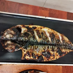 북극해고등어 사진