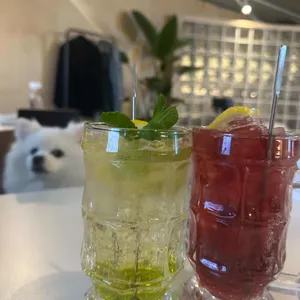 아라리용 리뷰 사진