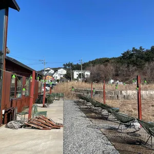 컨센트릭양양 리뷰 사진