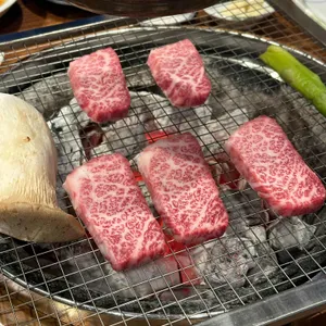 태백산 사진