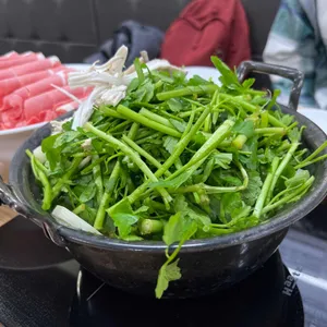 등촌샤브칼국수 사진