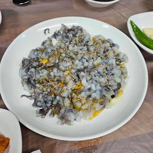 신안뻘낙지 사진