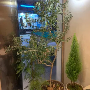 해례커피 리뷰 사진