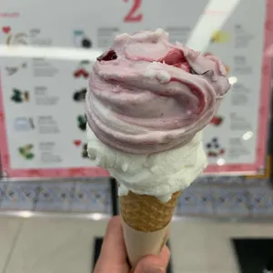 젤라띠젤라띠 사진