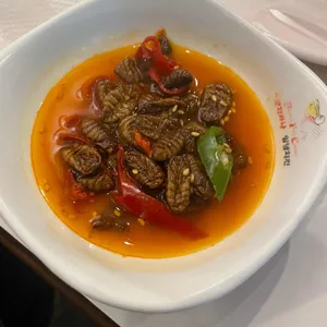 페리카나 사진