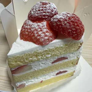 뚠뚠's 사진