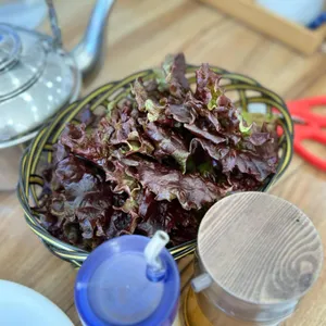명경막국수 리뷰 사진