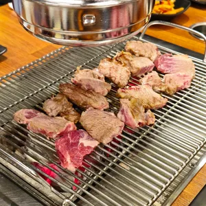 꽁시꽁시 사진