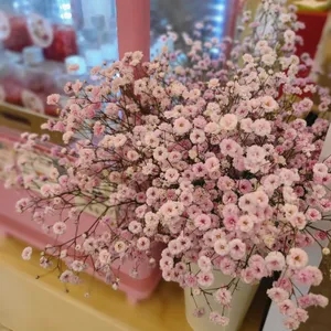 카페 데이즈 리뷰 사진