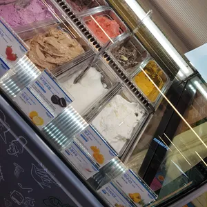 빨라쪼델프레도 사진