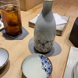 카메스시 리뷰 사진