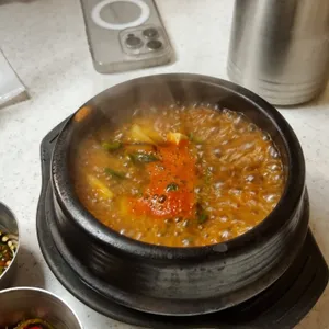 백송 사진