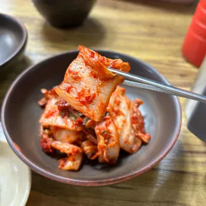 살구나무집칼국수 사진