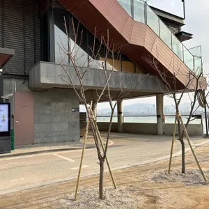 스타벅스 리뷰 사진