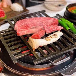 백송 사진