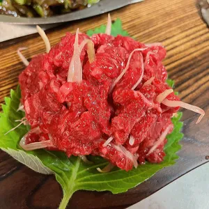 백송 사진