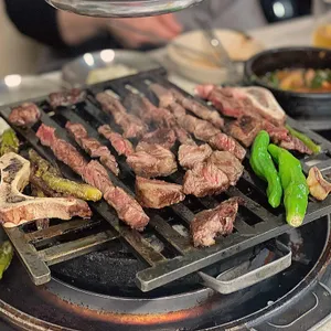 백송 사진