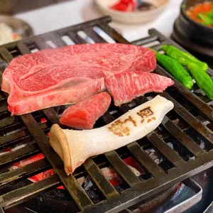 백송 사진