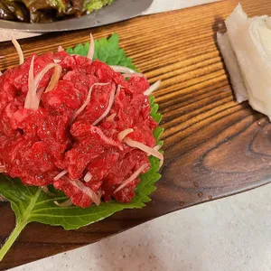 백송 사진