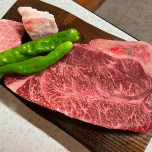 백송 사진