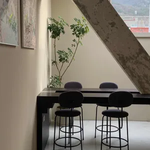 플란트 리뷰 사진
