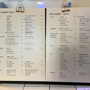스카이래빗 리뷰 사진