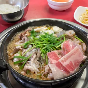 개미집 사진