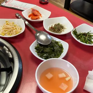 개미집 사진