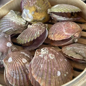 용하장횟집 사진