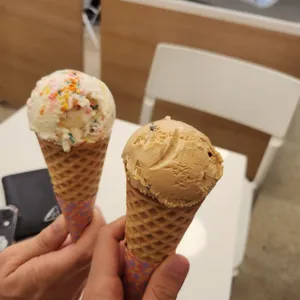 오드펠로우즈 대표 사진