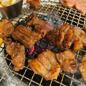 오동추야 사진