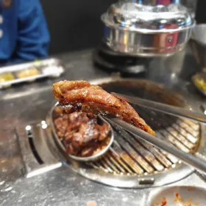 밀탄 사진