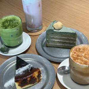 새라울 사진