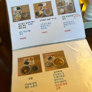 카멜레온 리뷰 사진