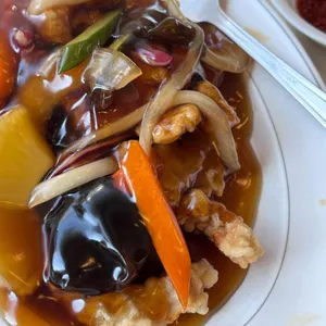 매화 사진