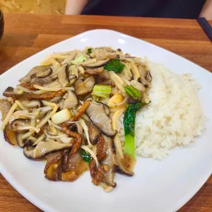 만리장성 사진