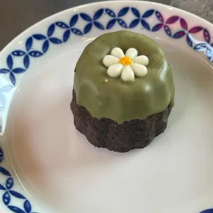 로덴드론 사진