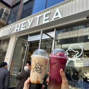 헤이티 사진