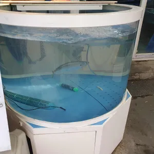 보문수산 사진