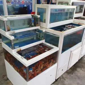 보문수산 사진