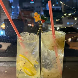 리파인 사진