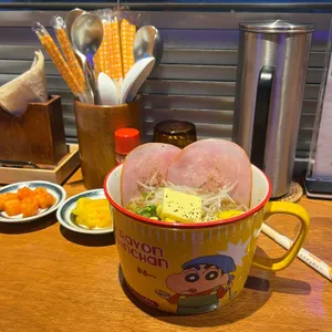 토리코 사진