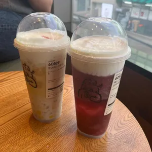 헤이티 사진