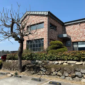 플라246 리뷰 사진