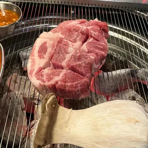 특돼지 사진
