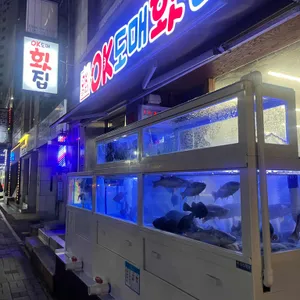 OK도매횟집 리뷰 사진