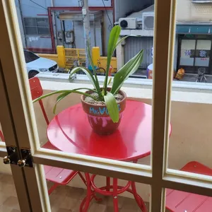 리볼리 리뷰 사진