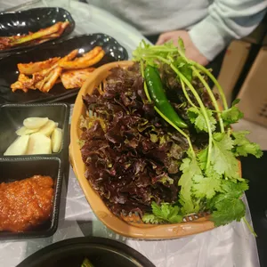 갈매기야 사진
